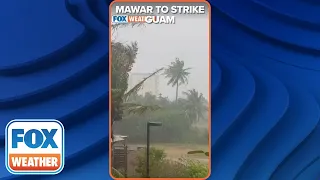 Tree Branches Sway in Wind as Super Typhoon Mawar Approaches Guam