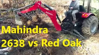 How to pull large red oak stump with the backhoe on a Mahindra 2638.