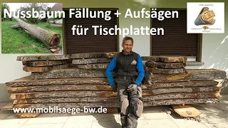 Nussbaum Holz für Tischplatten   der Anfang