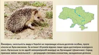 Тварини та рослини червоної книги України