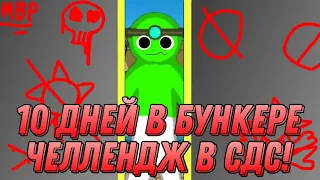 😱10 ДНЕЙ В БУНКЕРЕ ЧЕЛЛЕНДЖ СДС!