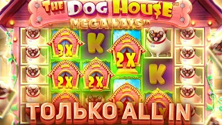 ТОЛЬКО ALL IN В DOG HOUS MEGAWAYS! ВЫИГРАЛ МНОГО ДЕНЕГ? ЗАНОСЫ НЕДЕЛИ В ДОГ ХАУС МЕГАВЕЙС!