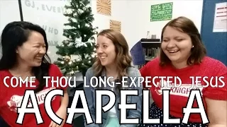 Come Thou Long-Expected Jesus (ACAPELLA ft. Becca Lafferty & Emily Bradshaw) | Rebecca Shang