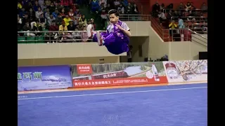 男子地躺拳 ditangquan 第一名 浙江队 马家军 9.05分 zhe jiang ma jia jun