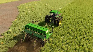 Gnadenthal | Fs 22 Timelapse | Farming Simulator 22 Timelapse | #23