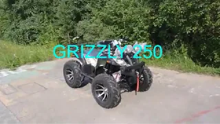 GRIZZLY 250
