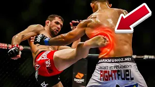 The Most TERRIFYING Kicks In MMA That PUNCTURED Livers....