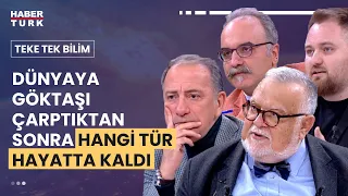 Dünyaya çarpan dev göktaşı her şeyi değiştirdi