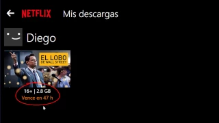 Cómo descargar Películas y Series de Netflix en Windows 10