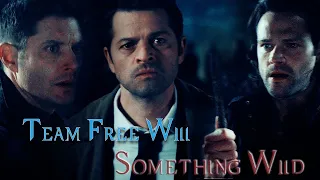 Team Free Will - Something Wild (Video/Song Request)[AngelDove]