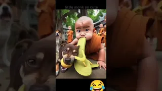 little monk so cute 🥰 #funny #cute #cutebaby #video #baby #littlemonkvideo #cutest #comedy #cutedog