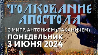 Понедельник, 3 июня 2024 года. Толкование Апостола с митр. Антонием (Паканичем).