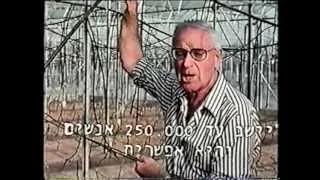 VTS_02_1.VOB  sde nitzan movie 2מי מפחד מעגבניות