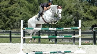 Horse Jumps ProTips - Ride-A-Course with Todd Minikus