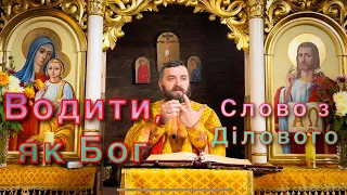 ВОДИТИ, як Бог. Слово з Ділового. Тарас Бровді