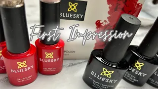 Nageldesign, BLUESKY PR unboxing #nailart #nails #naildesign