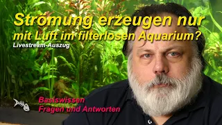 Strömung im Aquarium ohne CO2 Verlust? Warum und wie wird CO2 ausgetrieben?