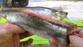 Five-minute lightly salted herring is a simple and very tasty herring appetizer.