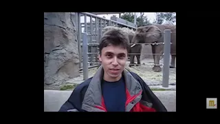 me at the zoo 8k upscaled, 60 FPS