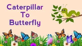Caterpillar To Butterfly story l short story l story in English l Moral story for kids l story