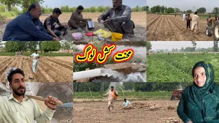 mehnat kash log | Asia Ahmad vlogs | village life