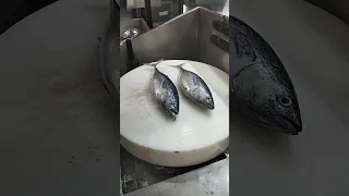 Monster Tuna Fish Cutting Fast Skills#shorts