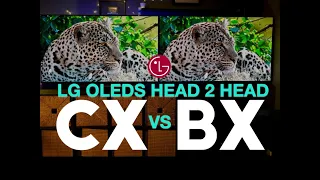 LG CX vs LG BX Battle of the LG OLEDs | Head 2 Head Comparison & Review