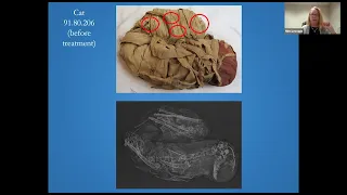 “A Peek Inside: The SAMA Cat Mummy” with Dr. Sarah Schellinger and Ms. Mimi Leveque