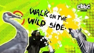 CBBC: Walk on The Wild Side - 'Ave it!