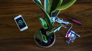 MIDI Sprout is Becoming PlantWave