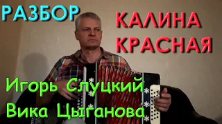 Калина красная. Разбор на гармони. Николай Гарбузов