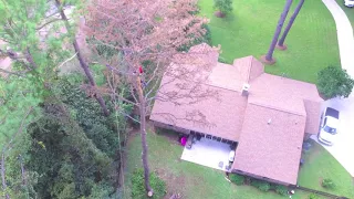 Drone Video of Tree Removal