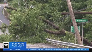 Severe storms down trees in New Jersey