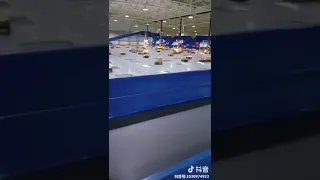 Robots in alibaba warehouse