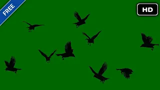 Birds flying green screen animation effects HD footages | chroma key birds footages | by Crazy Edito