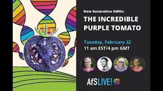 AfS Live - New Generation GMOs: The incredible purple tomato
