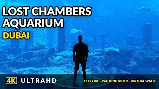 Dubai ATLANTIS - Aquarium of Lost Chambers. An epic aquarium tour