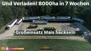 Großeinsatz Mais häckseln und auf 8 LKW Gespanne Verladen! 8000ha in 7 Wochen LU Ganzenmüller 2022