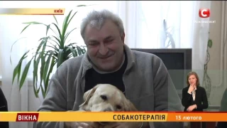 Собакотерапія - Вікна-новини - 13.02.2017