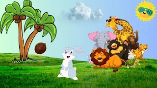 The Coconut Tree Story | English short stories for kids | the foolish rabbit | writeup stories | new