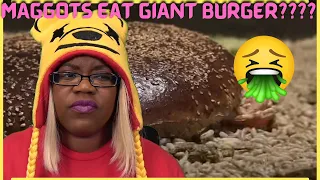 TRY NOT TO CRINGE | How Quickly MAGGOTS Eat GIANT BURGER | Snacker | AyChristene Reacts