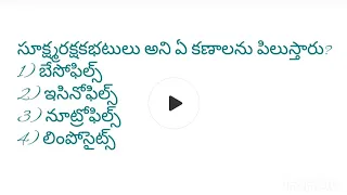 Dsc bits in telugu