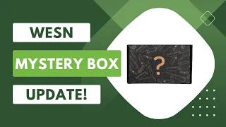 WESN Mystery Box Update! Did I Get Scammed?