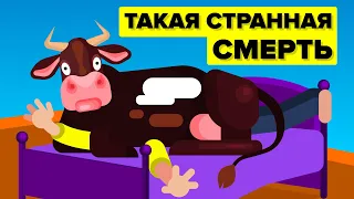 Самые странные способы смерти людей