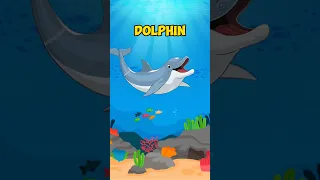 DOLPHIN