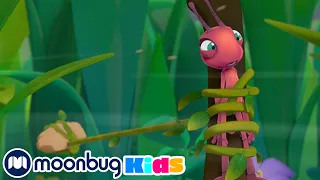 Gone With the Wind! | Antiks Adventures | Learn ABC 123 | Fun Cartoons | Moonbug Kids