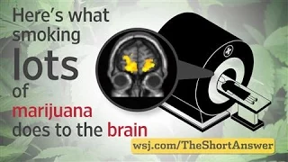 Marijuana: Heavy Users Risk Changes to Brain