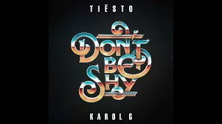 Don't Be Shy (clean) - Tiësto & KAROL G