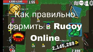 Как правильно фармить в Rucoy Online