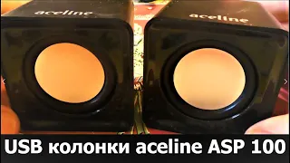 USB speakers for computer or laptop-Overview of Aceline ASP 100 USB speakers. Aceline-DNS brand.